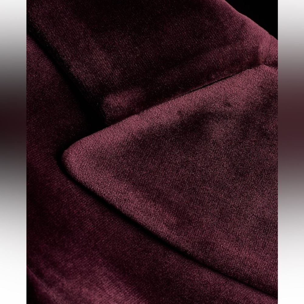 Velvet Blazer - Picture 7 of 10